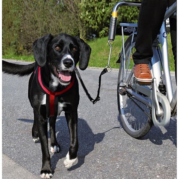 Jalgratta kinnitus koera jooksutamiseks