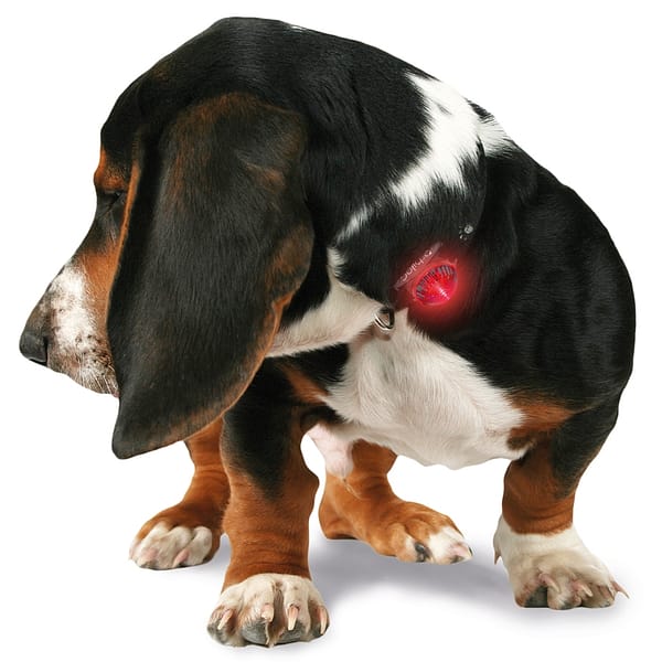 orbiloc-ohutuslamp-koera-rihmale-1.jpg Orbiloc punane LED ohutuslamp koera rihmale