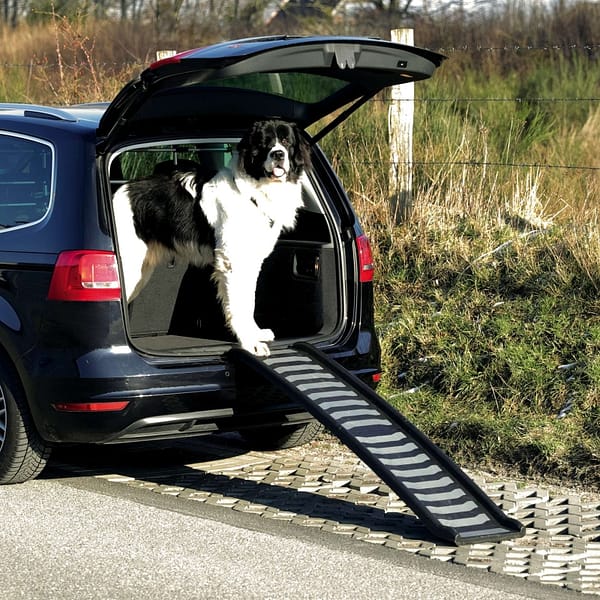 Plastikust ramp koertele kuni 70 kg.