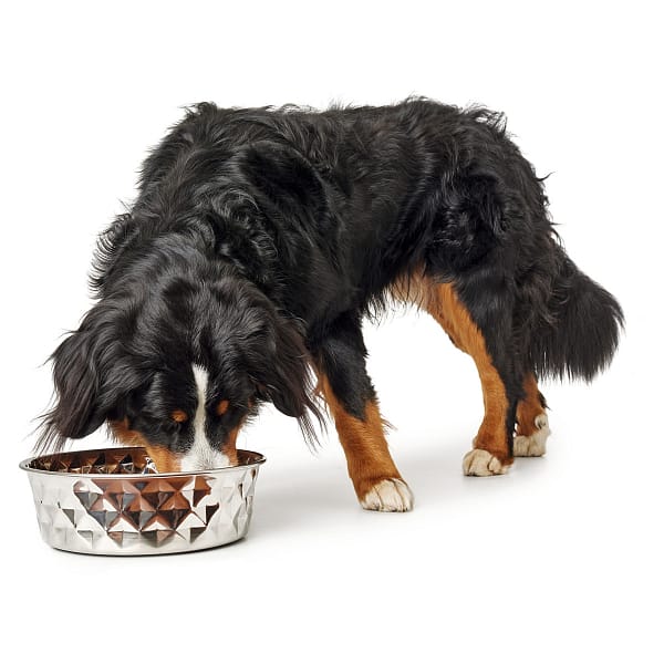 roostevabad-suured-kausid-2.jpg Roostevabad suured säravad kausid