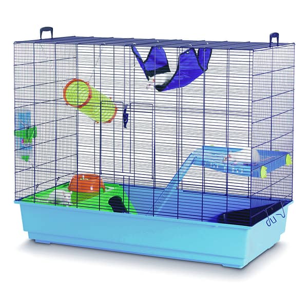 tuhkrule-voi-rotile-puur.jpg Tuhkrule või rotile puur