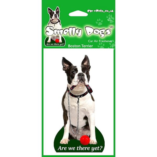 Õhuvärskendaja - Bostoni terjer