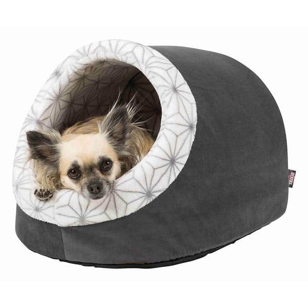 diamond2 Koobaspesa Diamond