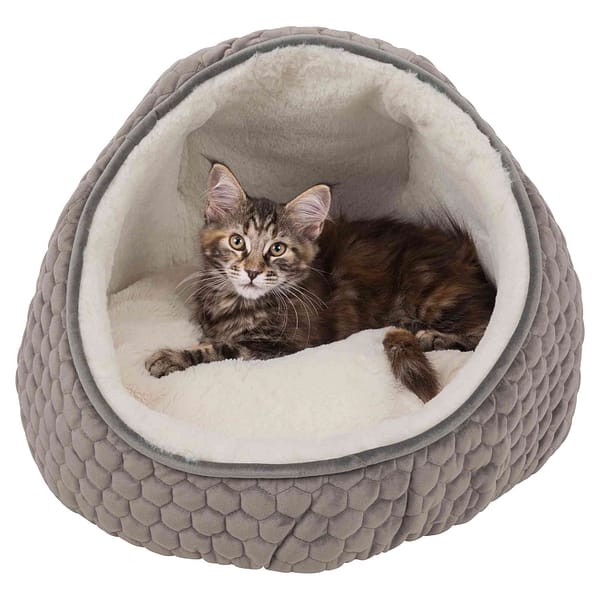 livia Koobaspesa Livia läbimõõt 45 cm.