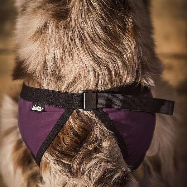 püksikud2 Hurtta Outdoors jooksuajapüksid XS suurus rohelised