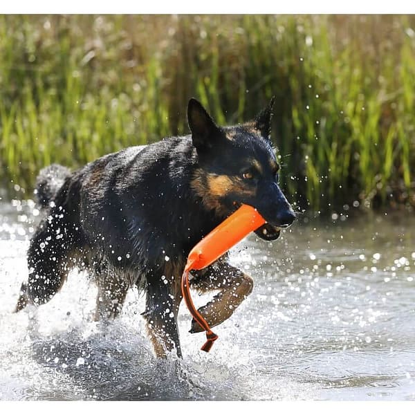 julius-k-9-dummykujuline-ujumismaenguasi-koertele (2) Julius K-9® ujuv dummy