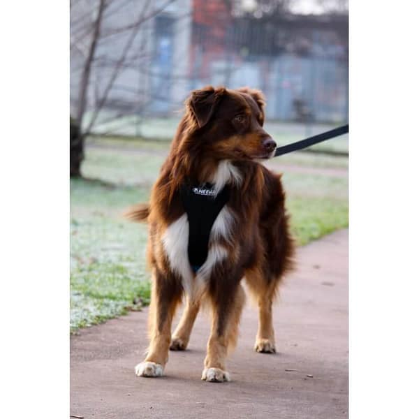 neewa-traksid-running (5) Pehmendustega Neewa traksid