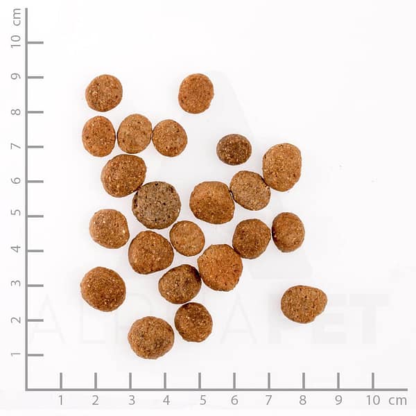 krõbinad 12,5 kg. Josera Balance täissööt koertele vähendatud rasva-ja valgusisaldusega