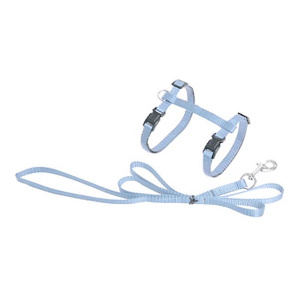 Flamingo helesinised traksid kassile koos jalutusrihmaga