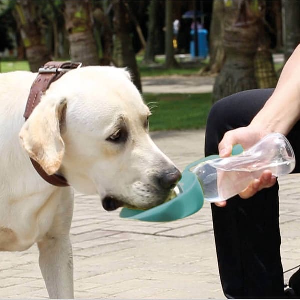 pudel Record reisipudel silikoonkausiga, maht 400 ml.