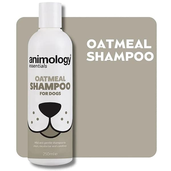 animology-essentials-oatmeal-dog-shampoo-250ml Tagasihoidliku lõhnaga šampoonpalsam igas vanuses ja karvatüübiga koerte pesuks 250 ml.