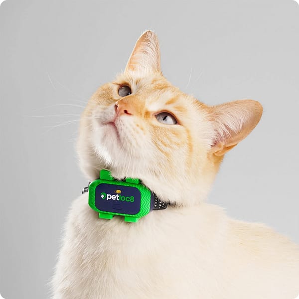 Petloc8 Mini GPS jälgimisseade väikest kasvu koertele ja kassidele