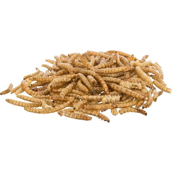 ussid Kuivatatud naturaalsed jahuussid närilistele, putuktoidulistele lindudele ja reptiilidele 70 gr.