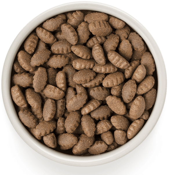 krõbuskid 10 kg. Grandorf täissööt suurt kasvu täiskasvanud koertele lamba-ja kalkuniliha ning pruuni riisiga