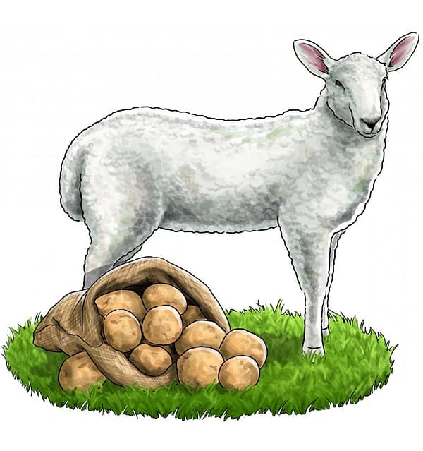 5-x-800-gr-lieblings-mahlzeit-teraviljavaba-konserv-koertele-lambaliha-ja-kartulitega-1.jpg 6 x 800 gr. Liebling´s Mahlzeit TERAVILJAVABA konserv koertele lambaliha ja kartulitega