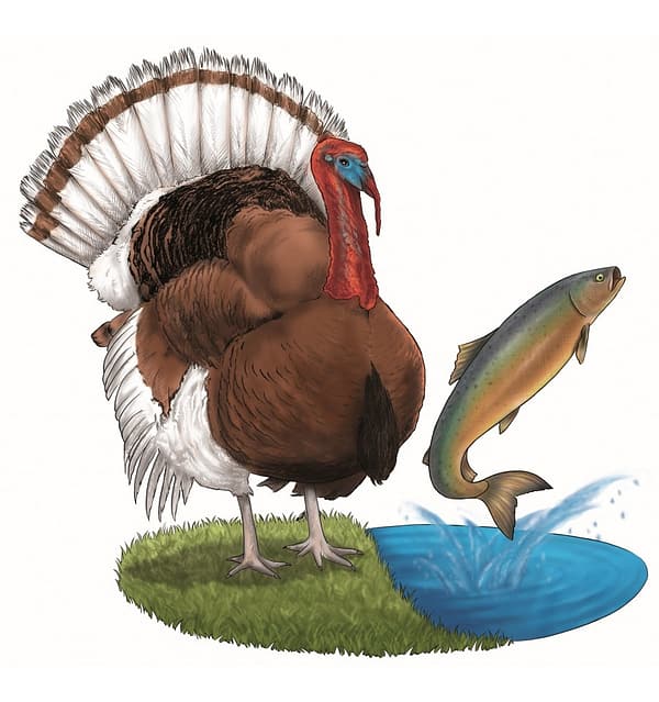 5-x-800-gr-lieblings-mahlzeit-teraviljavaba-konserv-koertele-lohe-ja-kalkunilihaga-1.jpg 6 x 800 gr. Liebling´s Mahlzeit TERAVILJAVABA konserv koertele lõhe ja kalkunilihaga