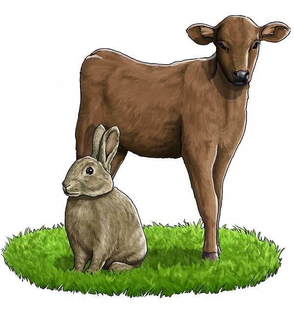 5-x-800-gr-lieblings-mahlzeit-teraviljavaba-konserv-koertele-vasika-ja-janeselihaga-1-1.jpg 6 x 800 gr. Liebling´s Mahlzeit TERAVILJAVABA konserv koertele vasika- ja jäneselihaga