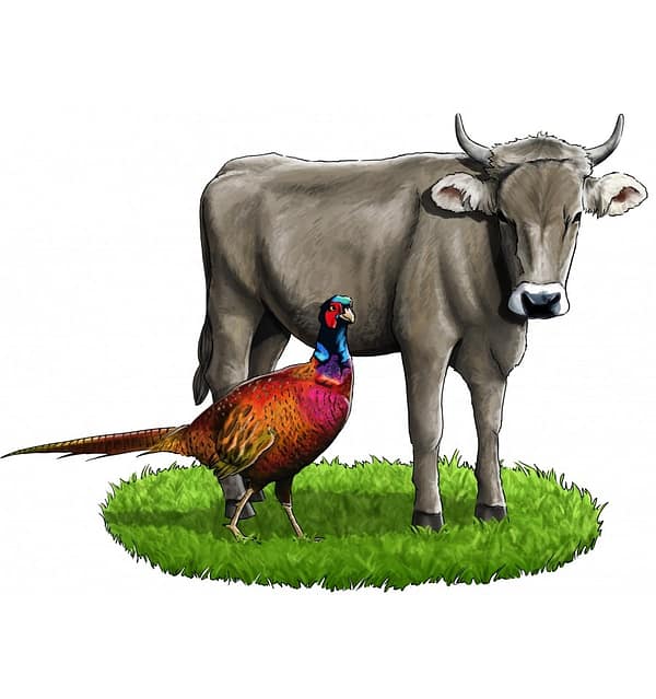 5-x-800-gr-lieblings-mahlzeit-teraviljavaba-konserv-koertele-veise-ja-faasanilihaga-1-1.jpg 6 x 800 gr. Liebling´s Mahlzeit TERAVILJAVABA konserv koertele veise- ja faasanilihaga