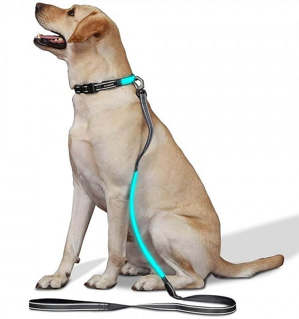 led-valgusega-tekstiilist-jalutusrihm-koerale-must2 LED-valgusega mustast tekstiilist jalutusrihm, 8 valgusrežiimi