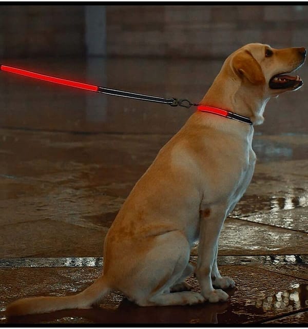 led-valgusega-tekstiilist-jalutusrihm-koerale-must7 LED-valgusega mustast tekstiilist jalutusrihm, 8 valgusrežiimi