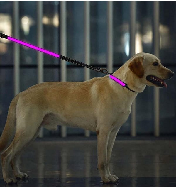 led-valgusega-tekstiilist-jalutusrihm-koerale-must8 LED-valgusega mustast tekstiilist jalutusrihm, 8 valgusrežiimi