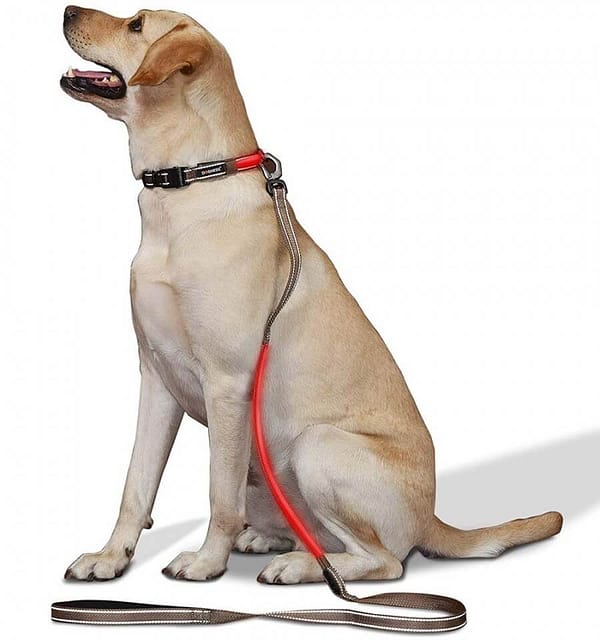 led-valgusega-tekstiilist-jalutusrihm-koerale-pruun2 LED-valgusega pruunist tekstiilist jalutusrihm, 8 valgusrežiimi