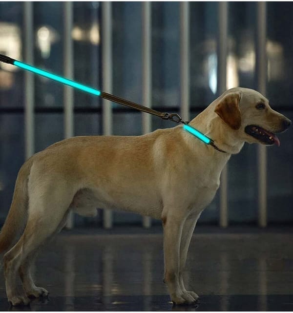 led-valgusega-tekstiilist-jalutusrihm-koerale-pruun6 LED-valgusega pruunist tekstiilist jalutusrihm, 8 valgusrežiimi