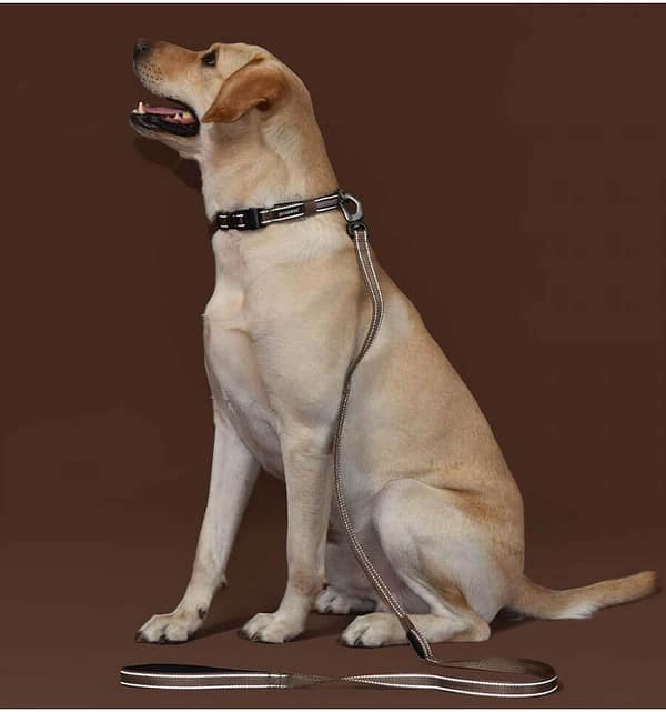 led-valgusega-tekstiilist-jalutusrihm-koerale-pruun7 LED-valgusega pruunist tekstiilist jalutusrihm, 8 valgusrežiimi