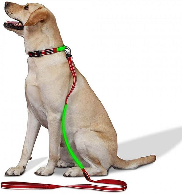 led-valgusega-tekstiilist-jalutusrihm-koerale-punane2 LED-valgusega mustast tekstiilist jalutusrihm, 8 valgusrežiimi