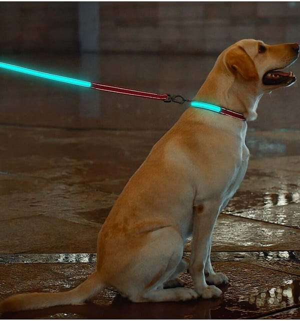 led-valgusega-tekstiilist-jalutusrihm-koerale-punane5 LED-valgusega mustast tekstiilist jalutusrihm, 8 valgusrežiimi