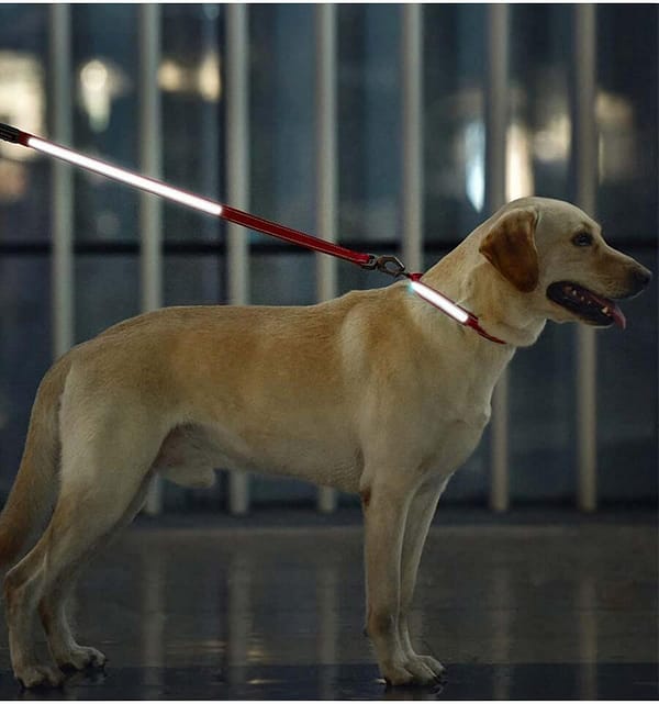 led-valgusega-tekstiilist-jalutusrihm-koerale-punane6 LED-valgusega mustast tekstiilist jalutusrihm, 8 valgusrežiimi