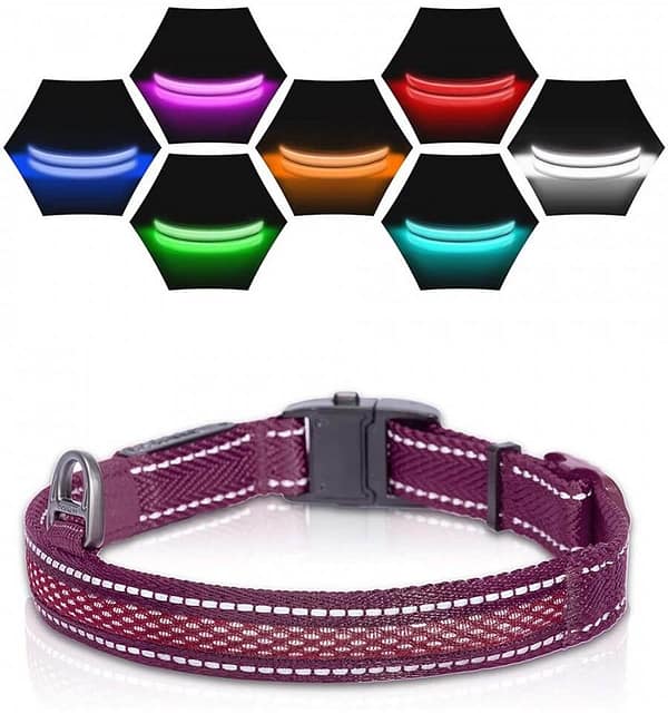 led-valgusega-tekstiilist-kaelarihm-koerale-lilla-8-valgusreziimi-dogness LED valgusribaga lilla kaelarihm, 8 valgusrežiimi