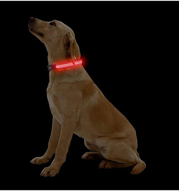 led-valgusega-tekstiilist-kaelarihm-koerale-pruun-8-valgusreziimi-dogness LED valgusribaga lilla kaelarihm, 8 valgusrežiimi