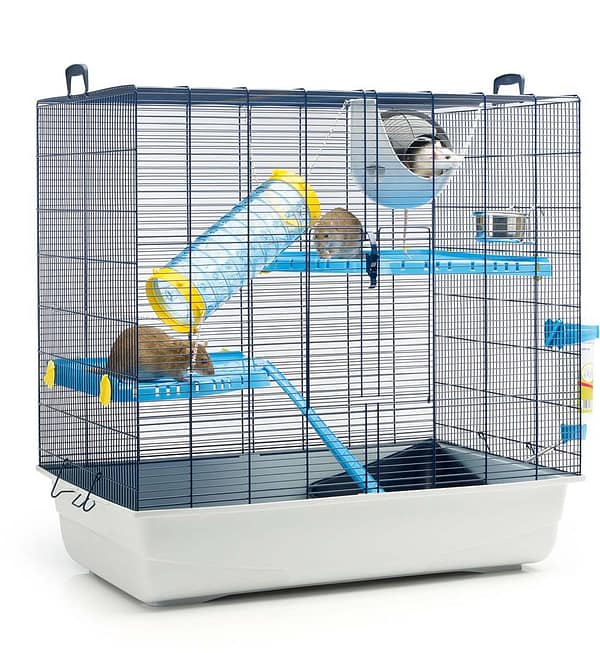 tuhkrule-voi-rotile-puur-1.jpg Tuhkrule või rotile puur