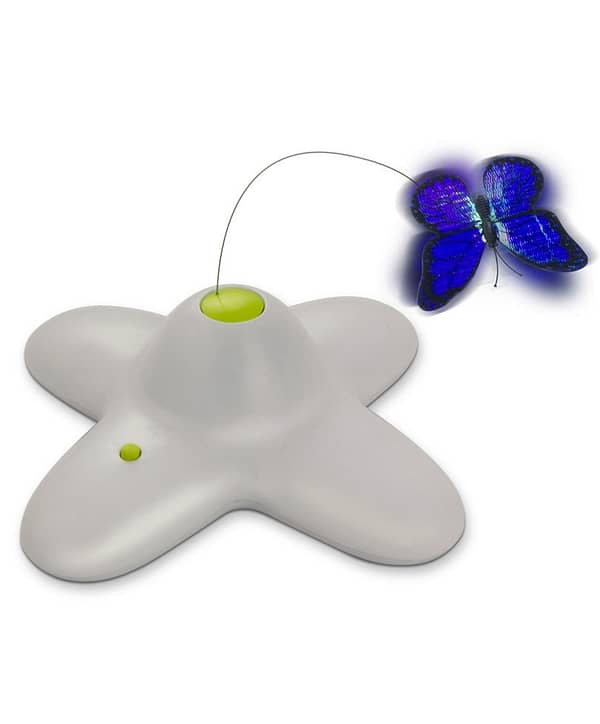 Interaktiivne mäng kassidele