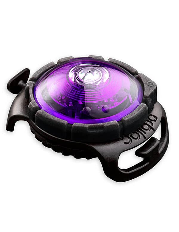 lilla Orbiloc lilla LED ohutuslamp koera rihmale