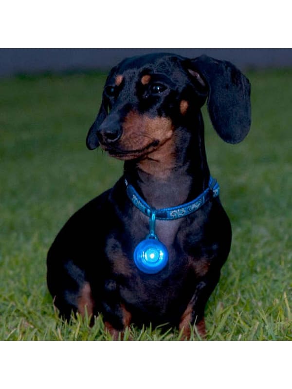 ohutusvilkur-roglite-5.jpg Ohutusvilkur Roglite sinine