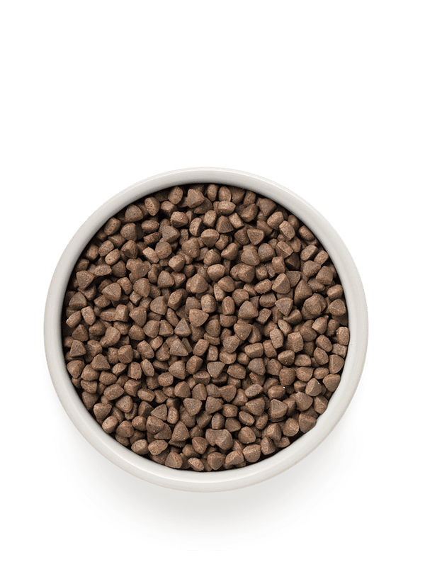 grandorf-cat-rabbit-rice-sterilised 2 kg. Grandorf kassitoit steriliseeritud/kastreeritud ning eakatele kassidele jäneselihaga