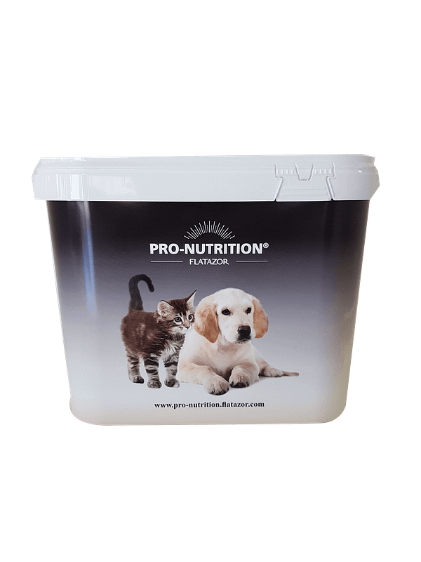 Container pro Nut détouré Plastikust toidutünn 10.9 L.