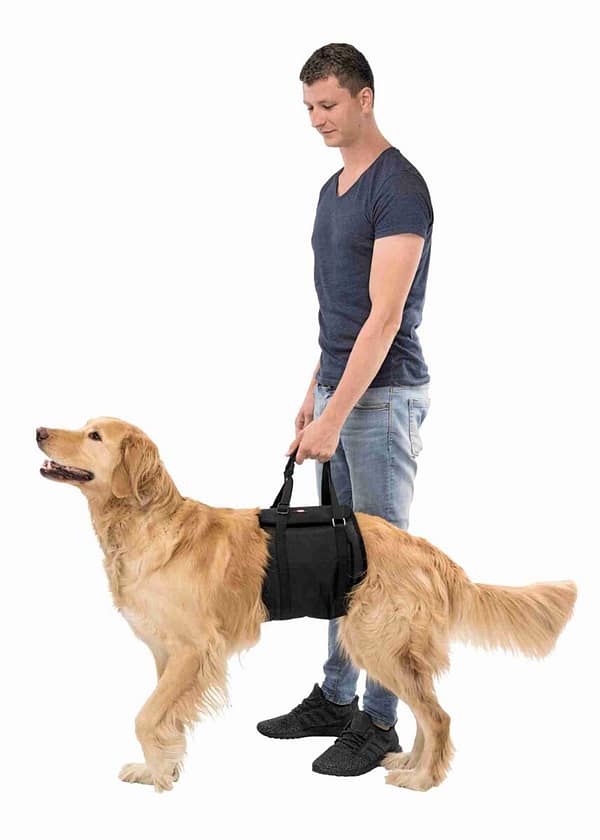 tugi3 Ilma jalaaukudeta kõndimisabi/tugi, suurus XL (max. kaal 50 kg.) kõhu ümbermõõt 85-95 cm.