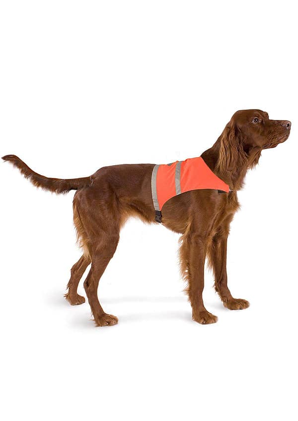 brava vest Oranž helkurvest koertele