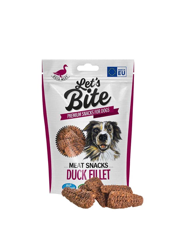 Let`s Bite gluteenivaba närimismaius pardifileest igas vanuses koertele 80 gr.