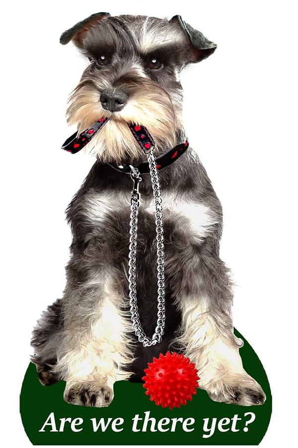 Õhuvärskendaja - Kääbusšnautser