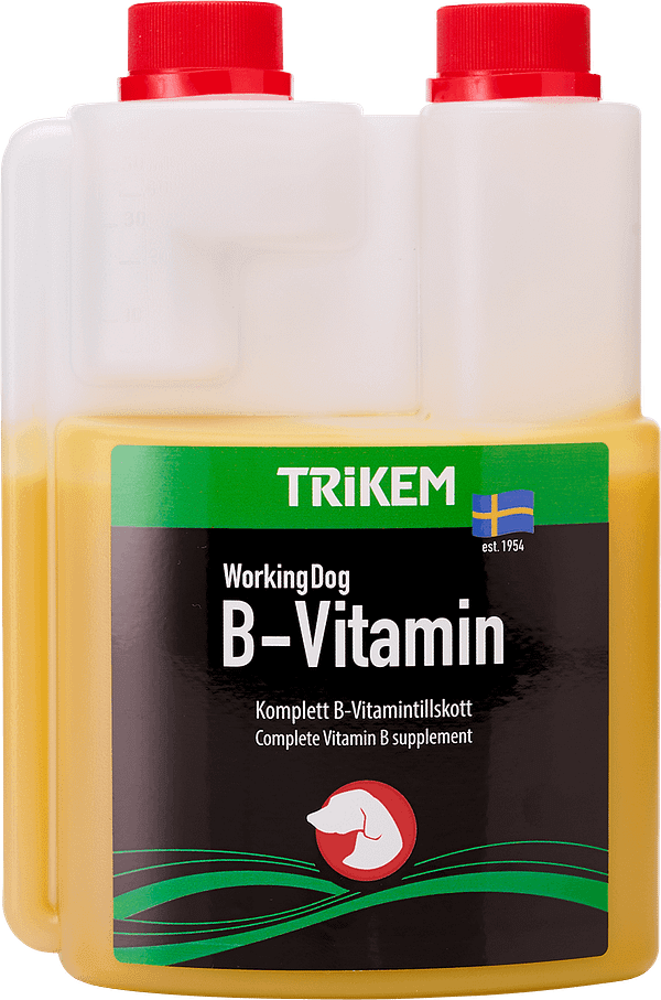b-vitamiin B-vitamiin koertele 500 ml.