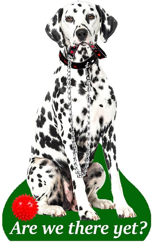 Õhuvärskendaja - Dalmaatsia koer