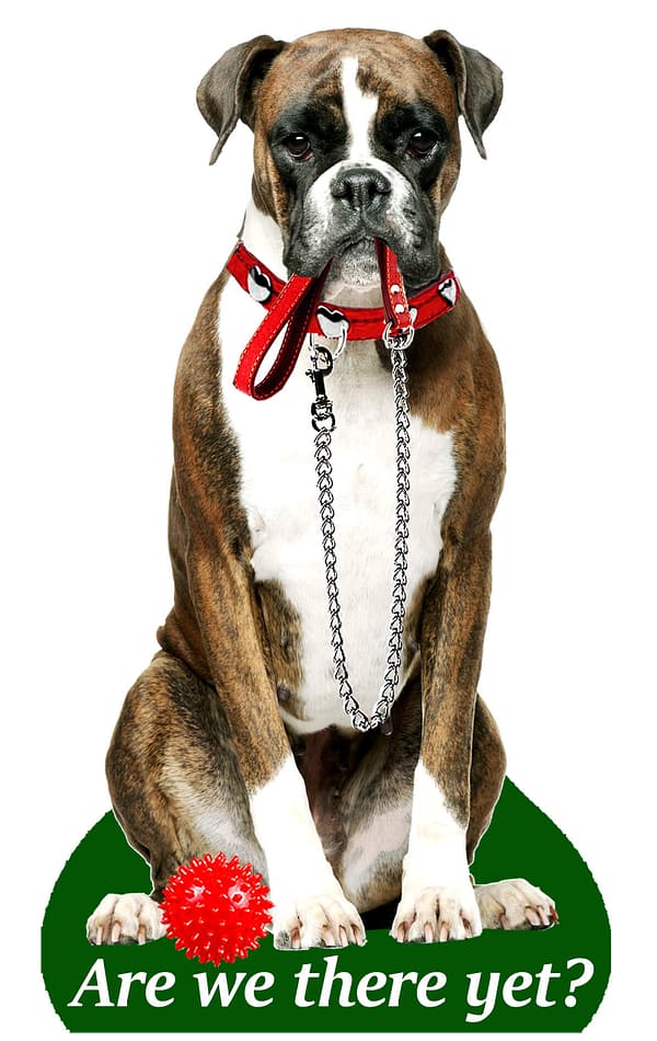 Õhuvärskendaja - Bokser (brindle)